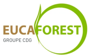 Logo_Eucaforest
